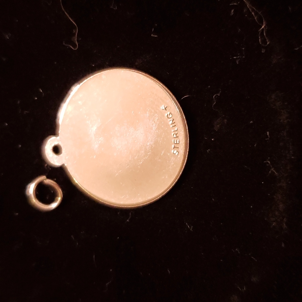 Sterling Zodiac Coin Charm - Picture 2 of 6